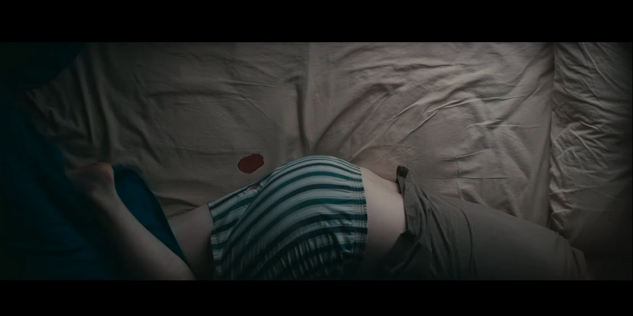 menstruation thinx