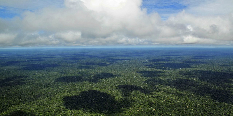 amazonas amazonia