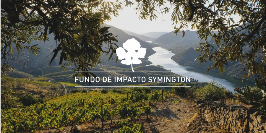 Fundo Impacto_Symington