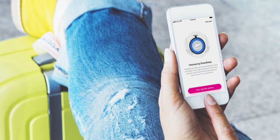 SmartDelay revolut