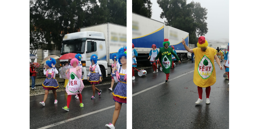 fairy carnaval