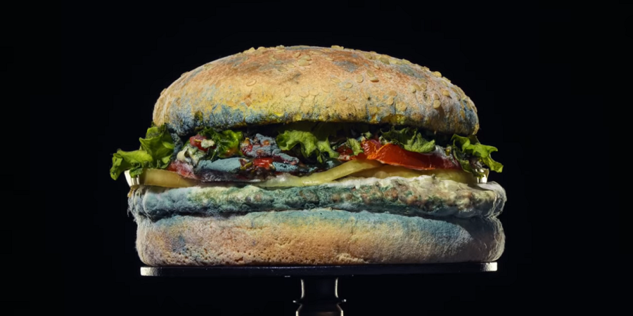 moldy whopper