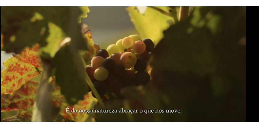 sogrape filme