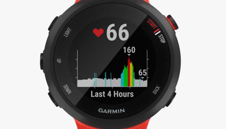 Smartwatch Garmin Forerunner 45 (na Sport Zone) – 199,99 euros