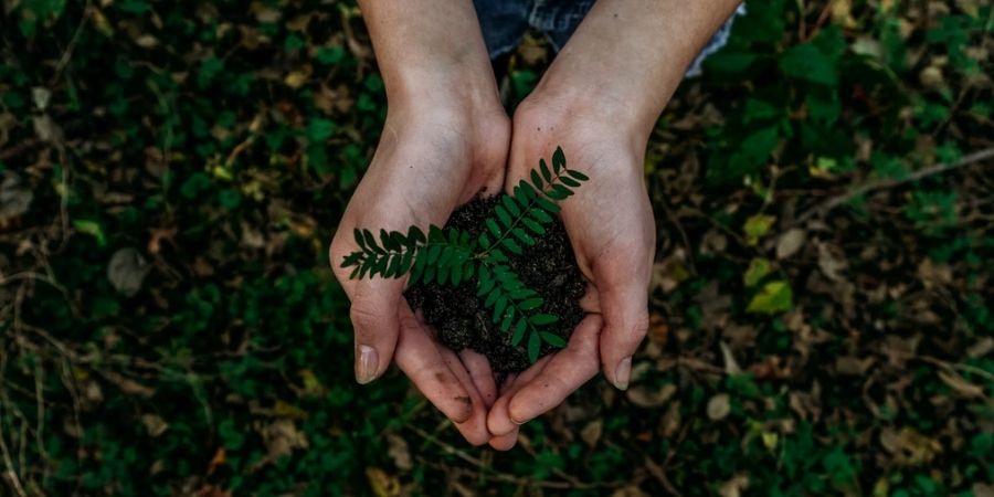 Portugueses desconfiam da sustentabilidade das marcas. Acham que é só marketing