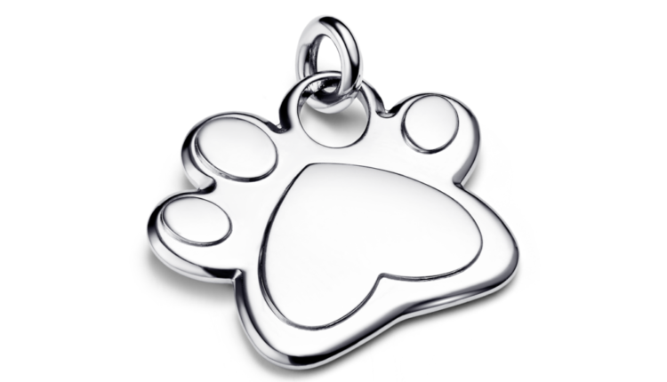 Chapa de identificação para coleira Pandora Paw Pet em aço inoxidável_29 euros_312268C00_RGB