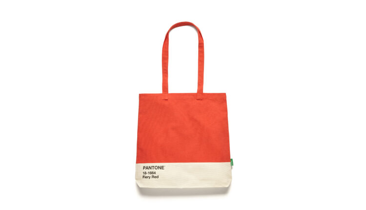 BENETTON X PANTONE 6ORGDY021_95D – 25,95 EUROS