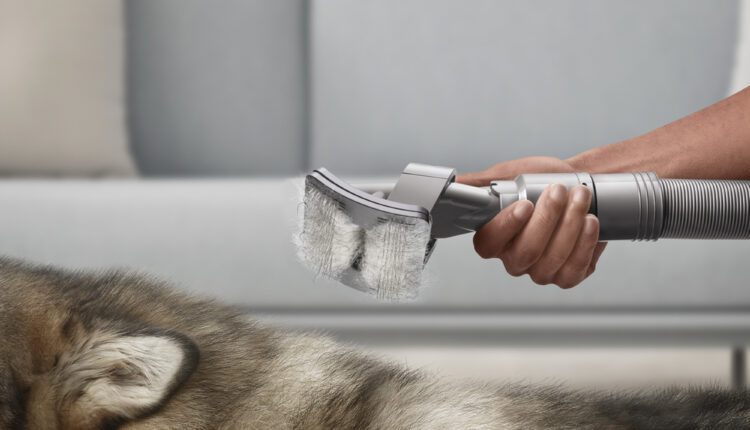 Kit de cuidados para animais de estimação Dyson – 60 euros