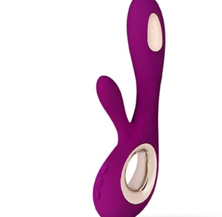 Lelo – 259 euros