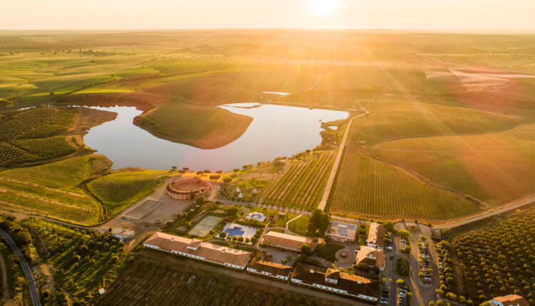 VG_Alentejo_Vineyards (1)