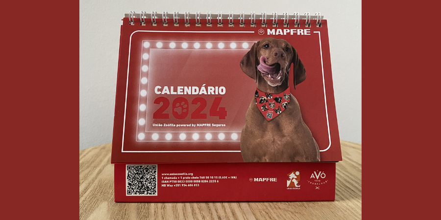 Calendário solidário da União Zoófila tem como estrelas animais para adopção