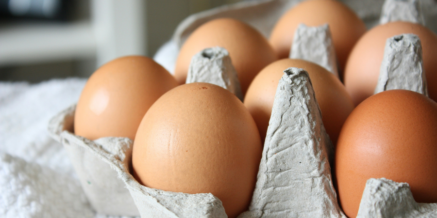 E que tal um pãozinho com fatias de omelete? Nobre tem nova aposta