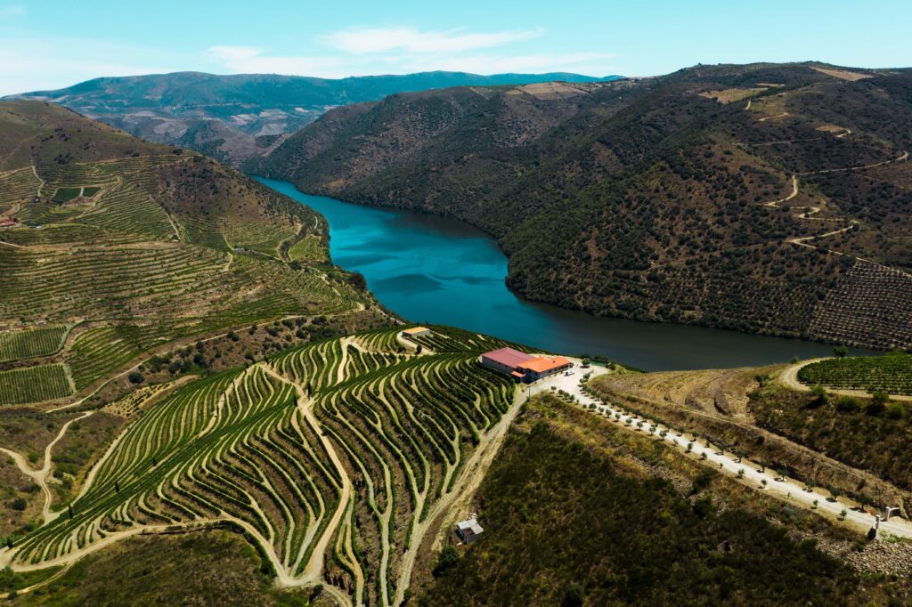 Primeiro vinho do Douro da Casa Ermelinda Freitas conquista medalha de Grande Ouro em França