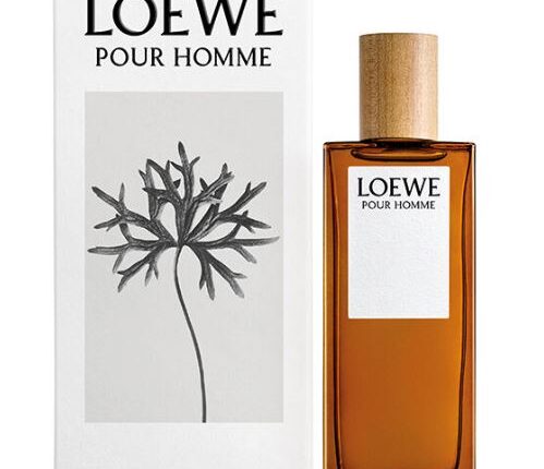 Loewe Pour Homme – 80 euros