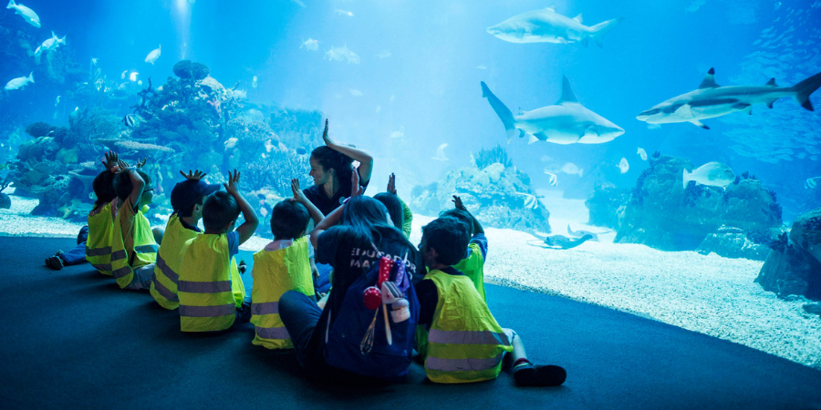 Os pequenos lá de casa podem passar as férias da Páscoa no Oceanário