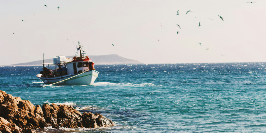 Portugal lidera o consumo de pescado per capita na Europa, mas apenas 3% conta com a certificação MSC