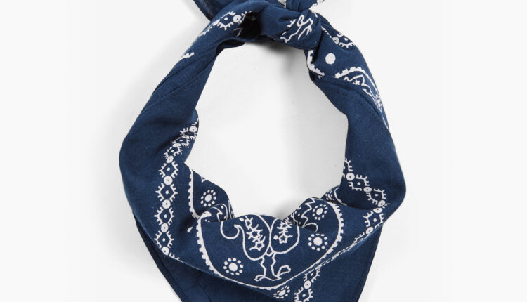 LEVI_S_PAISLEY BANDANA_77138-0630