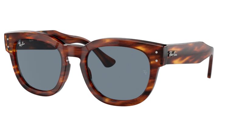 Ray Ban – 165 euros