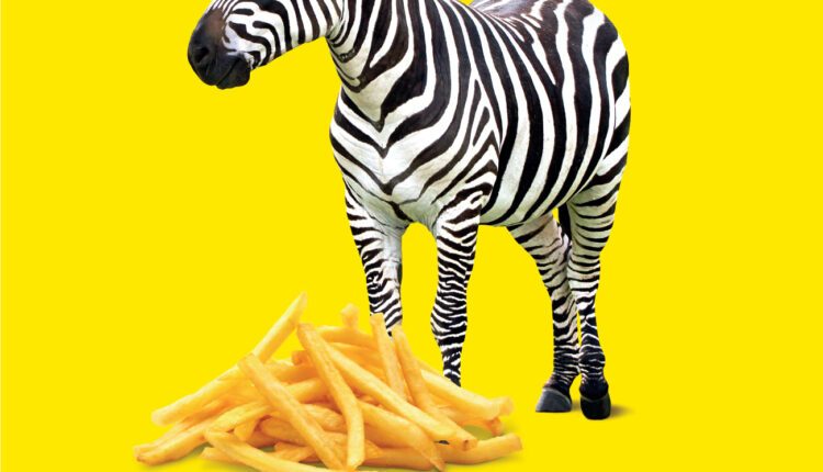 mupi_genérico_zebra