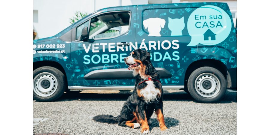 Almada recebe Veterinários Sobre Rodas