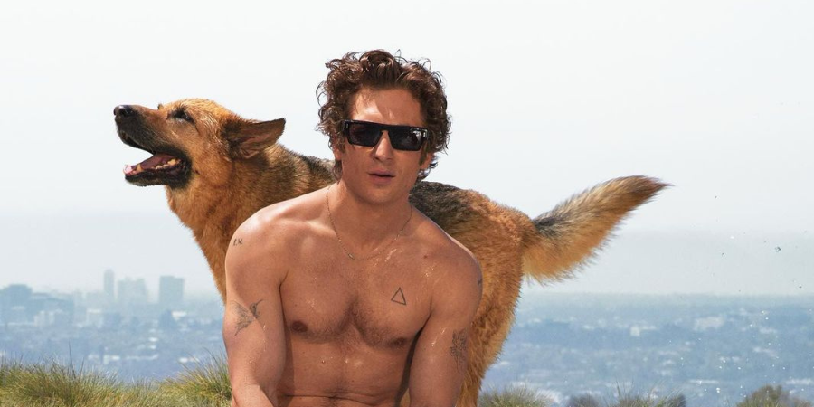 Alerta fãs de The Bear: Jeremy Allen White está de volta com a Calvin Klein