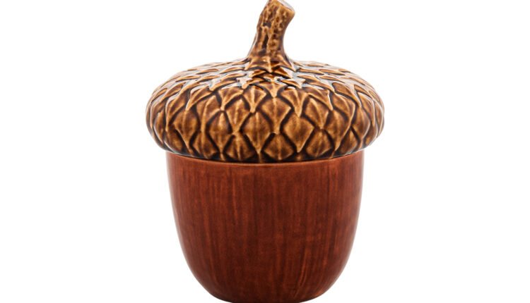 15 cm acorn box