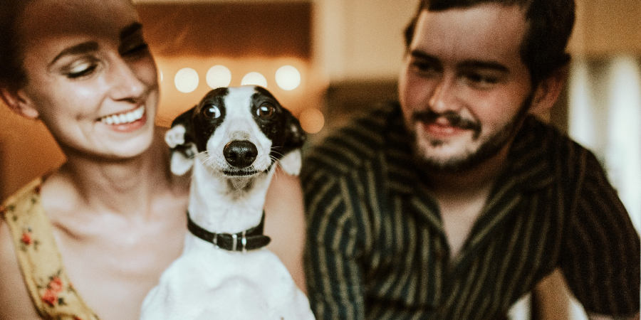 E se o seu cão tivesse um assistente? A marca portuguesa Barkyn tornou isso possível