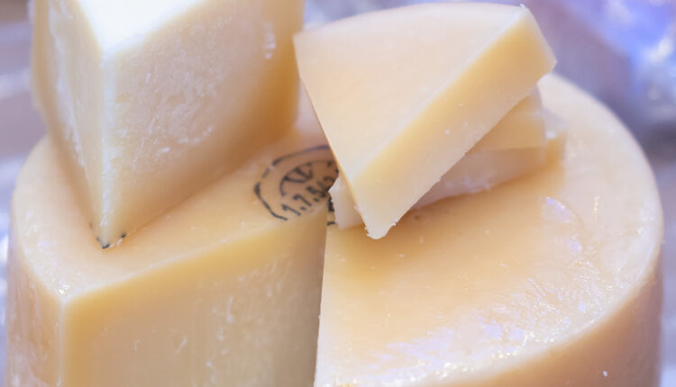 mhorwood_World_Cheese_Awards_021122_207