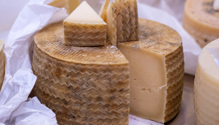 mhorwood_World_Cheese_Awards_021122_219