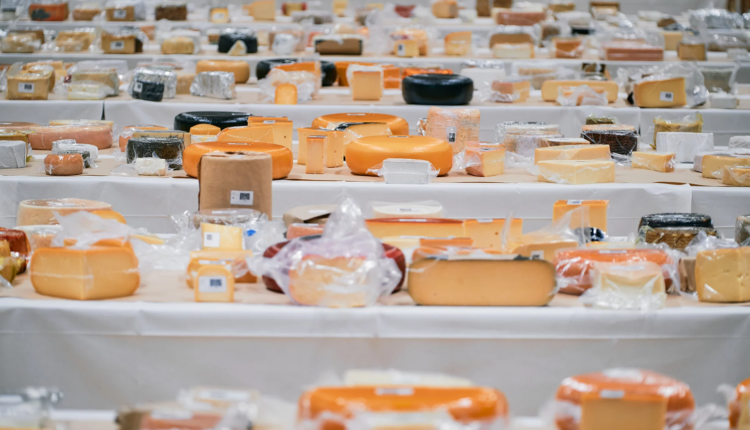 World-Cheese-Awards-tables-of-cheese-for-judging (1)