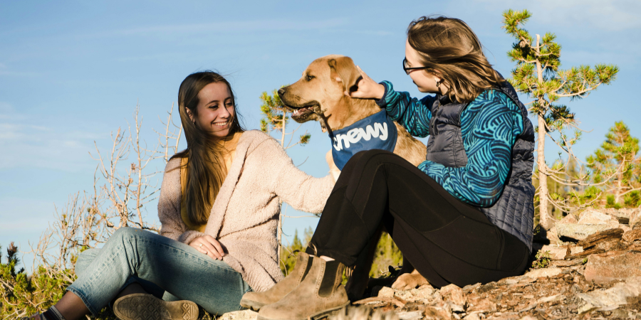 Há uma nova Linha de Apoio ao luto para donos de cães   