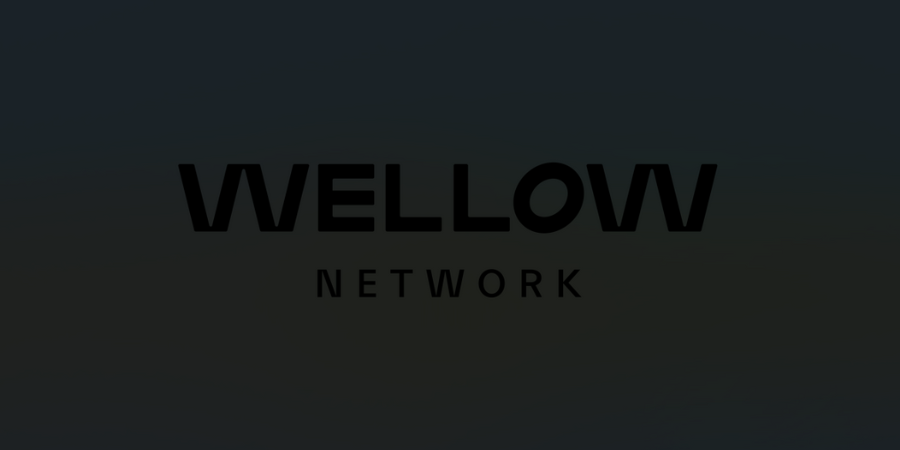 Ivity desenvolve nova identidade da Wellow Network