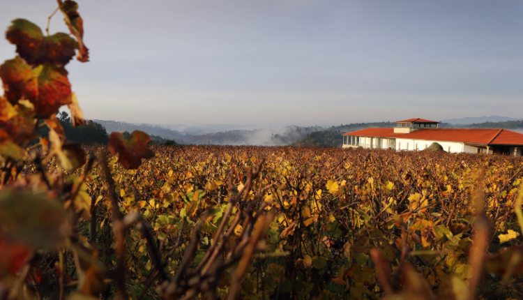 Quinta de Lemos