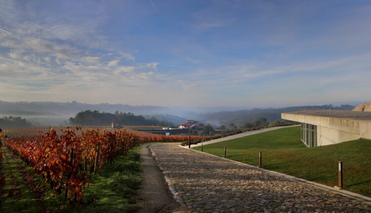 Quinta de Lemos_2