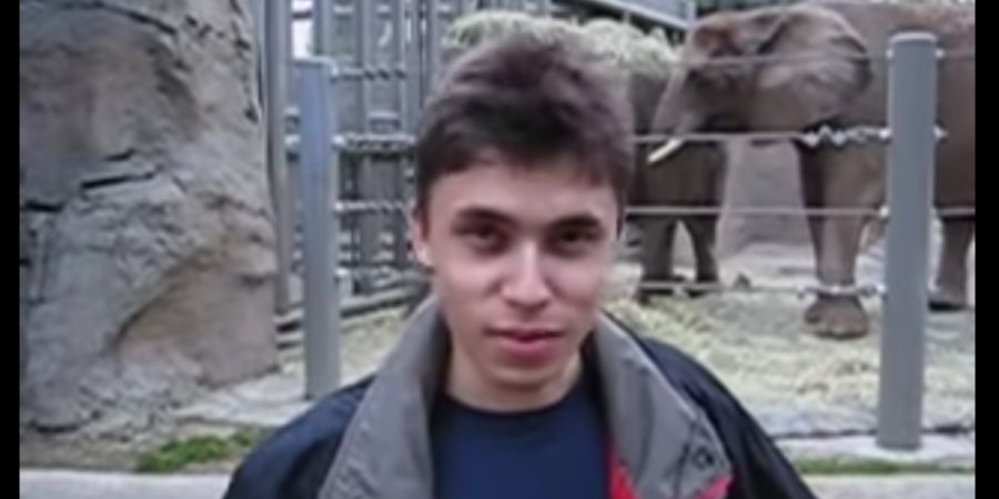 YouTube celebra 20 anos do primeiro vídeo publicado. Das imagens “no zoo” à era da inteligência artificial