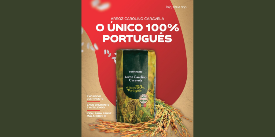 Arroz 100% português chegou às prateleiras do Continente