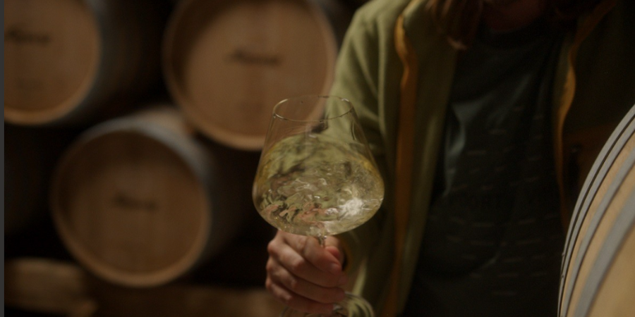 Niepoort e Corticeira Amorim: vinhos e cortiça juntos para celebrar a autenticidade dos produtos portugueses
