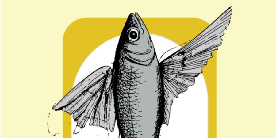 Uma exposição dedicada à sardinha, que mostra como é que este peixe se tornou um “ícone nacional”, através da sua história e dos acontecimentos que contribuíram para essa fama, é inaugurada no domingo no Padrão dos Descobrimentos, em Lisboa.