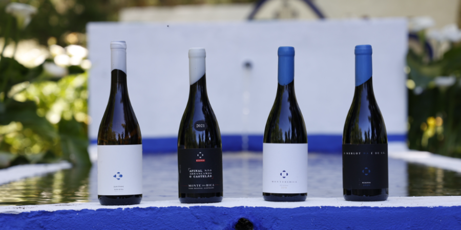 Monte da Bica: a adega boutique de vinhos irreverentes num novo destino alentejano